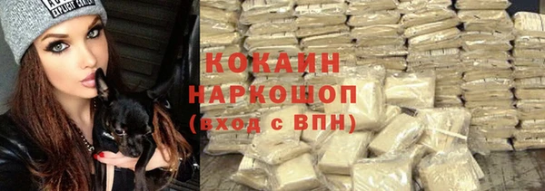 MESCALINE Горняк
