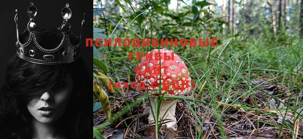метамфетамин Горнозаводск